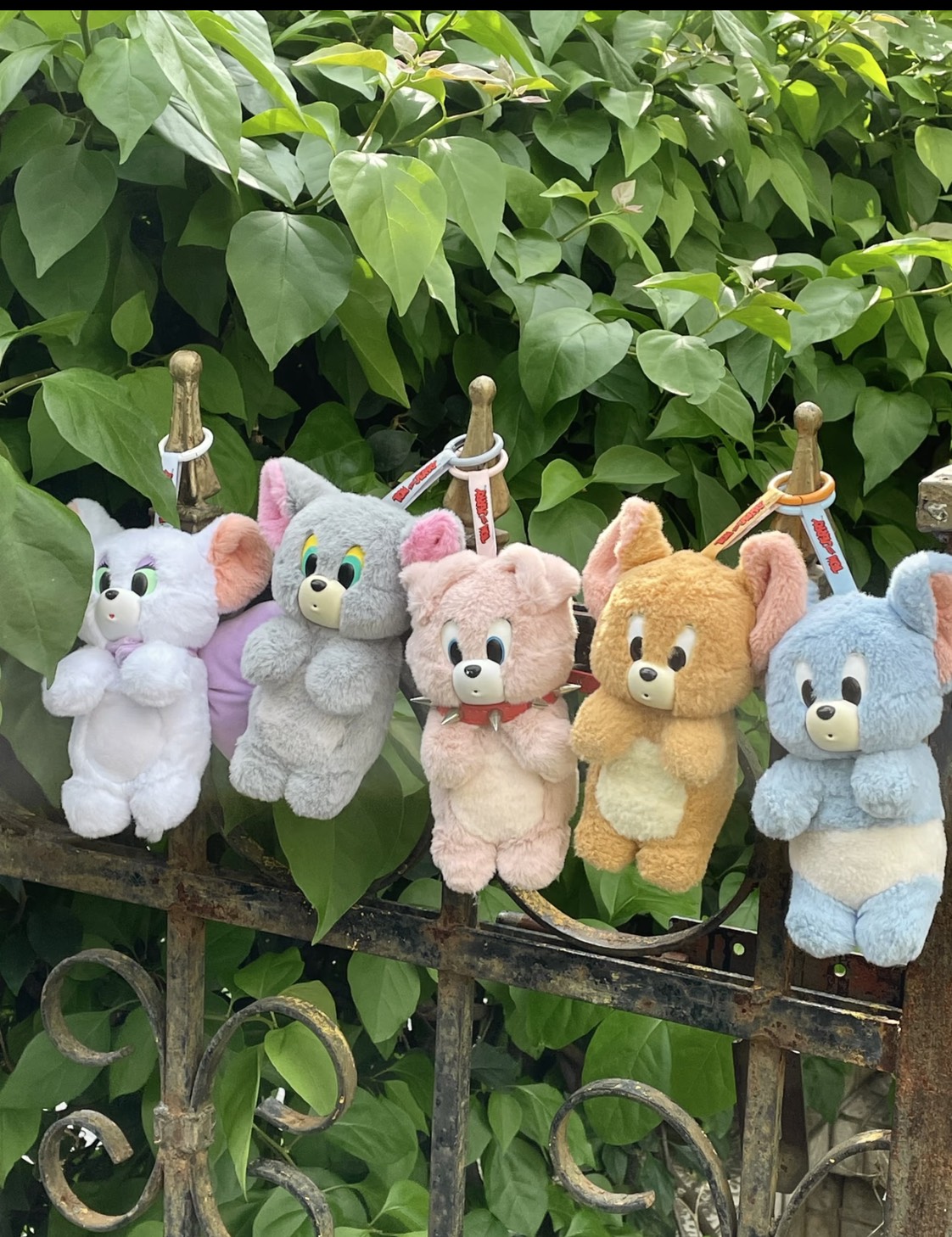 🎀｜VGT ·華納 湯姆貓與傑利鼠毛絨掛件