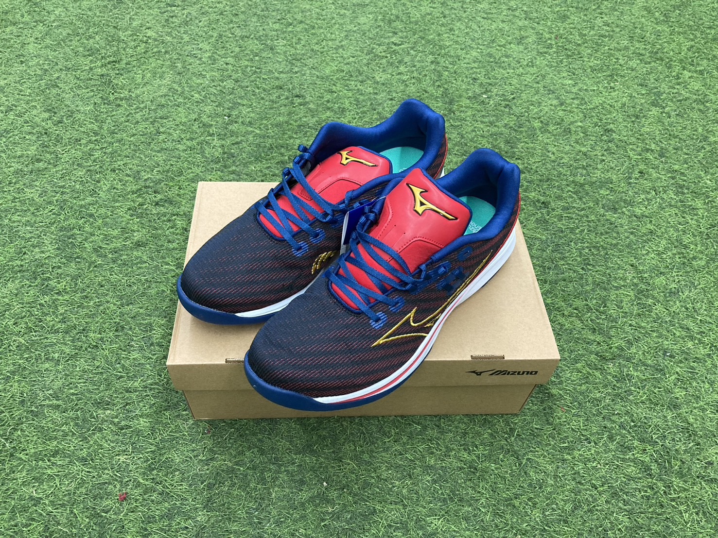 Mizuno Pro Lightrevo Run 訓練鞋 藍/紅